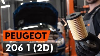 Peugeot e 807 huolto: ohjevideo