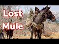Elk Pack Out GONE WRONG! Vlog #29