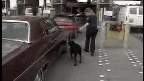 Visual Analytics, Inc