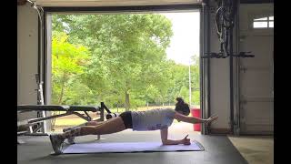 Forearm Plank with Reach and Lat Pull