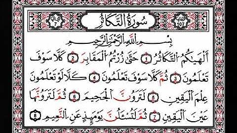 سورة التكاثر | بصوت الشيخ علي السلمان
