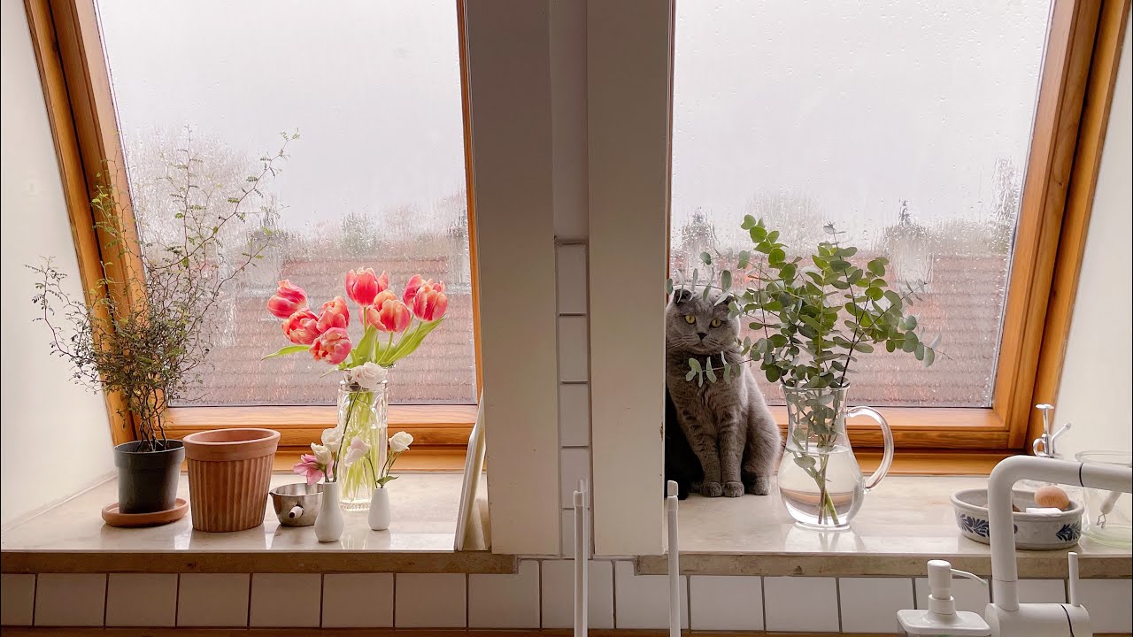 ミニマリスト｜ドイツで暮らす。     \音声&字幕あり/