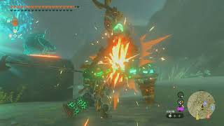 Captain Construct IV, Pikida Stonegrove | The Legend of Zelda: Tears of the Kingdom (NS)