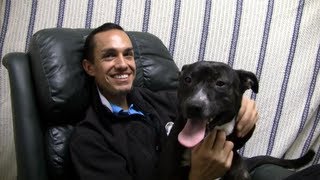 The Most Interesting Dog in the Shelter - CHERISH
