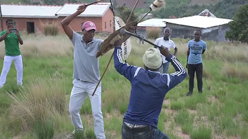 INDUKU (STICKFIGHTS ) Kuphume isidumbu emshadweni umfana eshaya izinsizwa ngenduku enomuthi