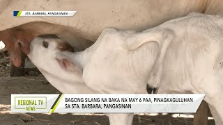 Regional TV News: Hayop sa Balita