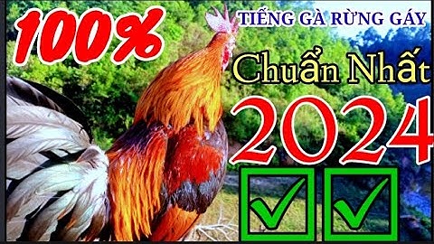 Tiếng GÀ RỪNG gáy chuẩn nhất 2024☑☑ 💯% || Suab qaib qus qua zoo dib tuaj 100%