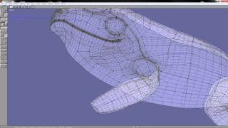 Frog - Anim8or - Making Of
