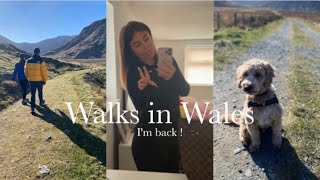WALKS IN WALES AND BACK TO VLOGGING