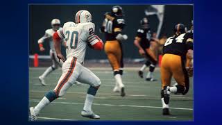 1972 Miami Dolphins Season