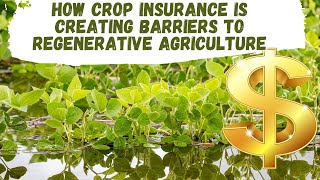 Is Crop Insurance Stopping Regenerative Agriculture?