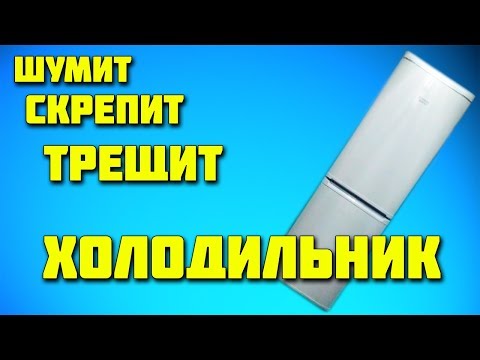 Шумит, трещит, скрепит, скрежещет холодильник. Решение.