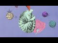 Charlotte Cardin - Hush Little Baby (from At home with the kids) [Official Audio]