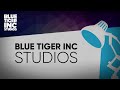 Blue tiger inc studios