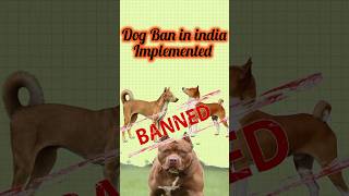 Dog ban in India Implemented | 23 Dog breeds Banned | Pitbull Ban  #ytshorts #shorts #gk