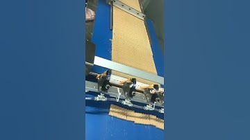 Wafer waffles auto-feeding and packaging machine line. Wafer biscuits wrapping machine system.