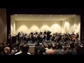 Orchestral concert at NHS