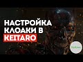 Клоака Кейтаро. Настройка клоаки в Keitaro