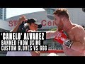 'Canelo' Alvarez Banned From Using 'NO BOXING, NO LIFE' Gloves In GGG Rematch