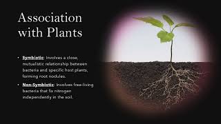 Unveiling Nitrogen Fixation in Plants: Mechanisms, Symbiotic vs. Non-Symbiotic and Agricultural imp.