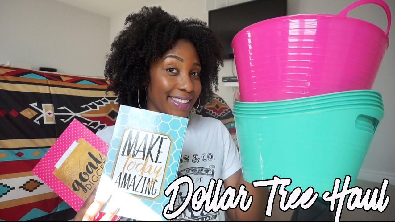 DOLLAR TREE HAUL CANADA | MAY 2017