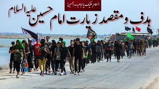 maqsad e ziyarat e imam hussain as || arbaeen 5 || arbaeen walk || syed mukhtar ahmad