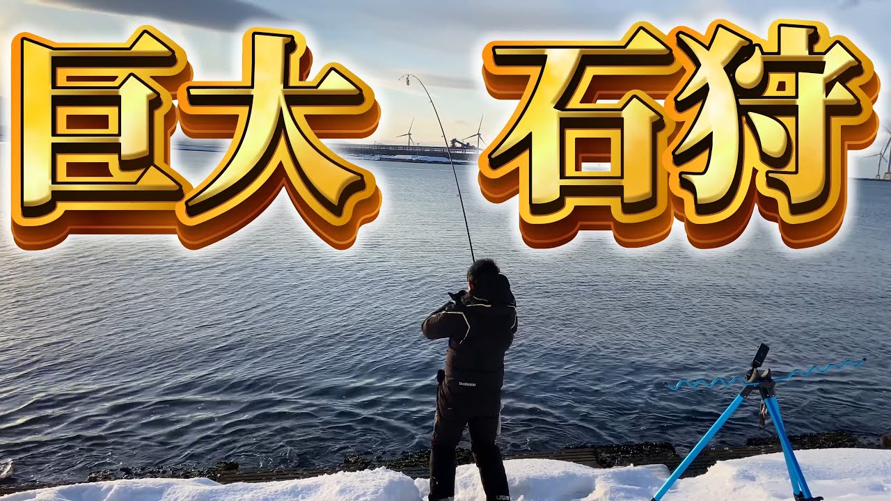 【北海道】【釣り】石狩湾新港で超デカ◯◯が釣れる