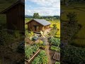 Nhà đẹp #farming