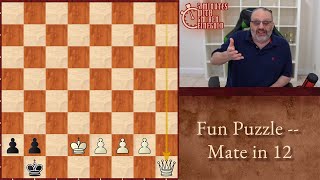 Thumbnail for Five Minutes with Ben: Fun Puzzle   Mate in 12