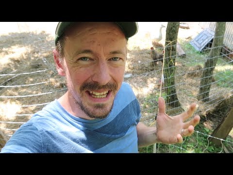portable-electric-fences-and-their-uses-on-the-homestead!