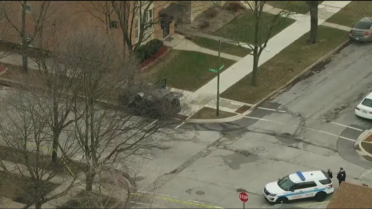 2 Chicago police officers injured after SUV slams into tree - YouTube