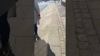 Motor Siren Ambience - Skagen