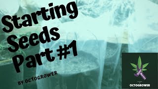 Octopot for beginners (Starting Cannabis Seeds Part1  !!!!)  By Octogrower