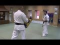 Karate lesson. Hidden kick mawashi geri | Скрытый маваши гери от Хасая Магамедова