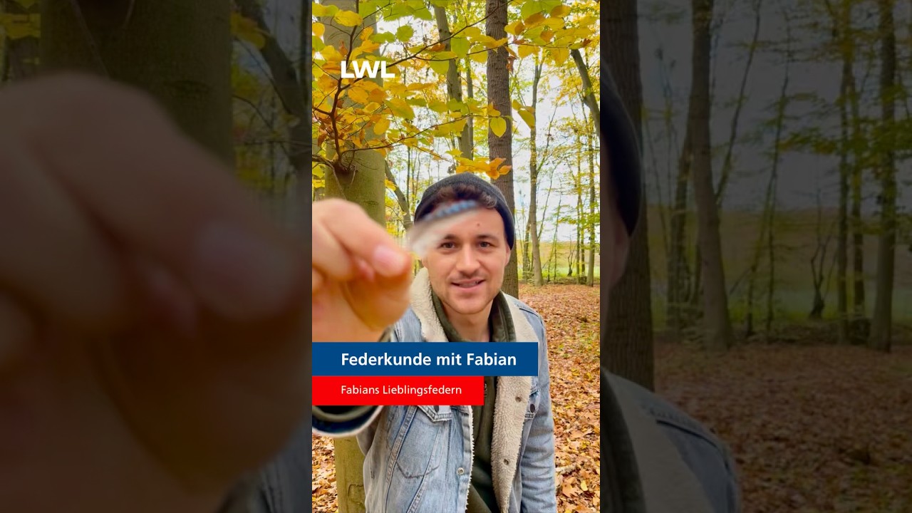 Federkunde mit Fabian: Fabians Lieblingsfedern 