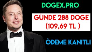 Dogexpro İle Dogecoin Kazma Ödeme Kanıtlı