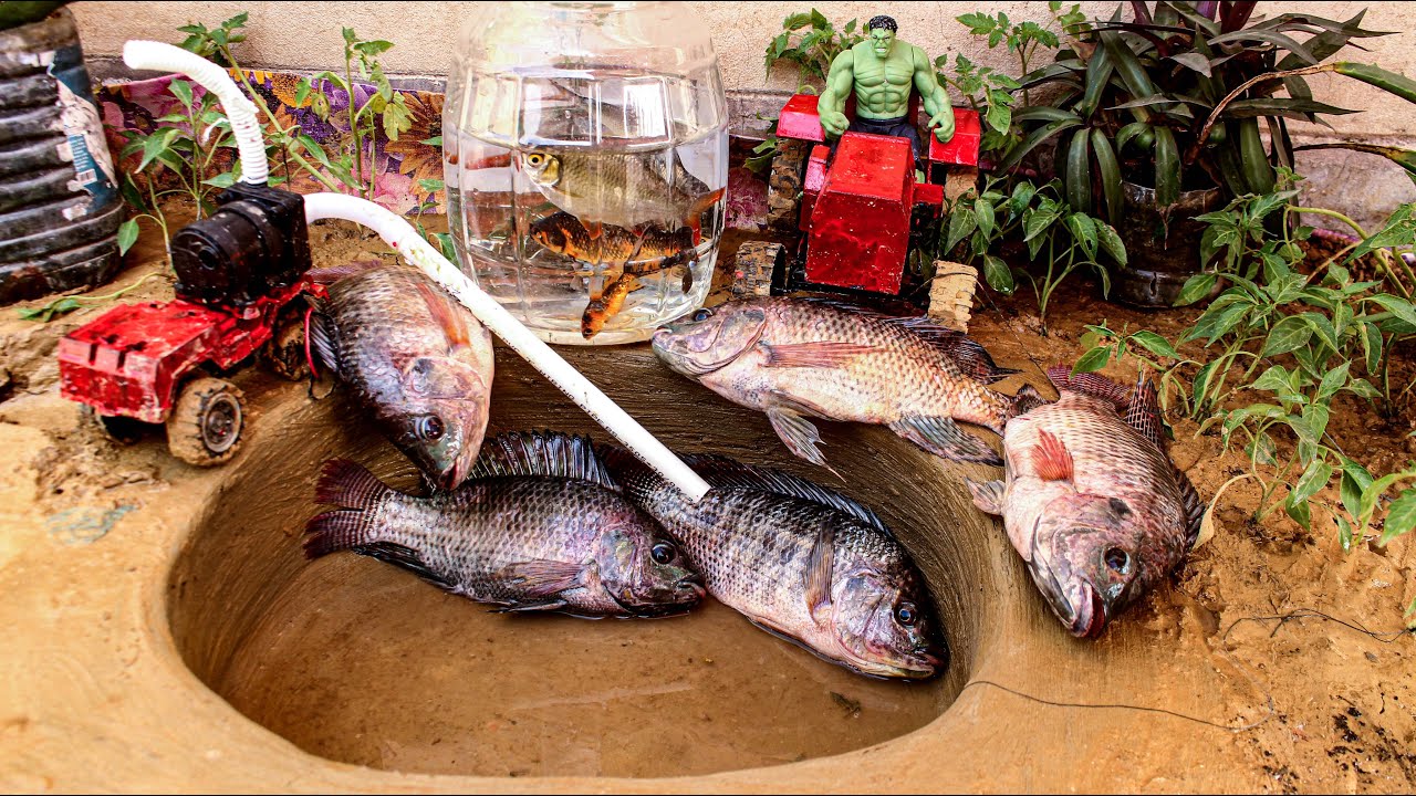Catch fish using mini water pump | fishing exciting | diy tractor ...