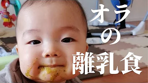 離乳食拒否 生後9ヶ月突然食べなくなった赤ちゃん Mp3 離乳食拒否 生後9ヶ月突然食べなくなった赤ちゃん Mp3