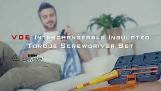 Vde Interchangeable Insulated Torque Screwdriver Set
