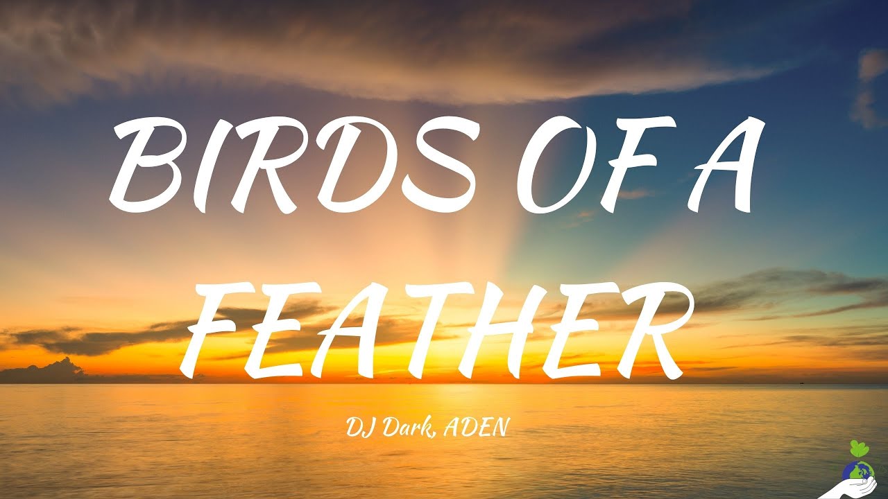 DJ Dark, ADEN BIRDS OF A FEATHER (Lyrics) YouTube