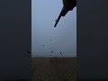 Low quality video high quality sho0t. Rate my shooting in the comment section.🦆👌 #duckhunting