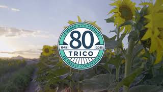 Trico Electric Cooperative 2025
