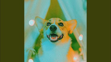 Pulsating Moods for Moody Puppy