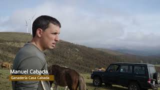 Gandería cabalar na Serra do Xistral, un caso singular en Galicia