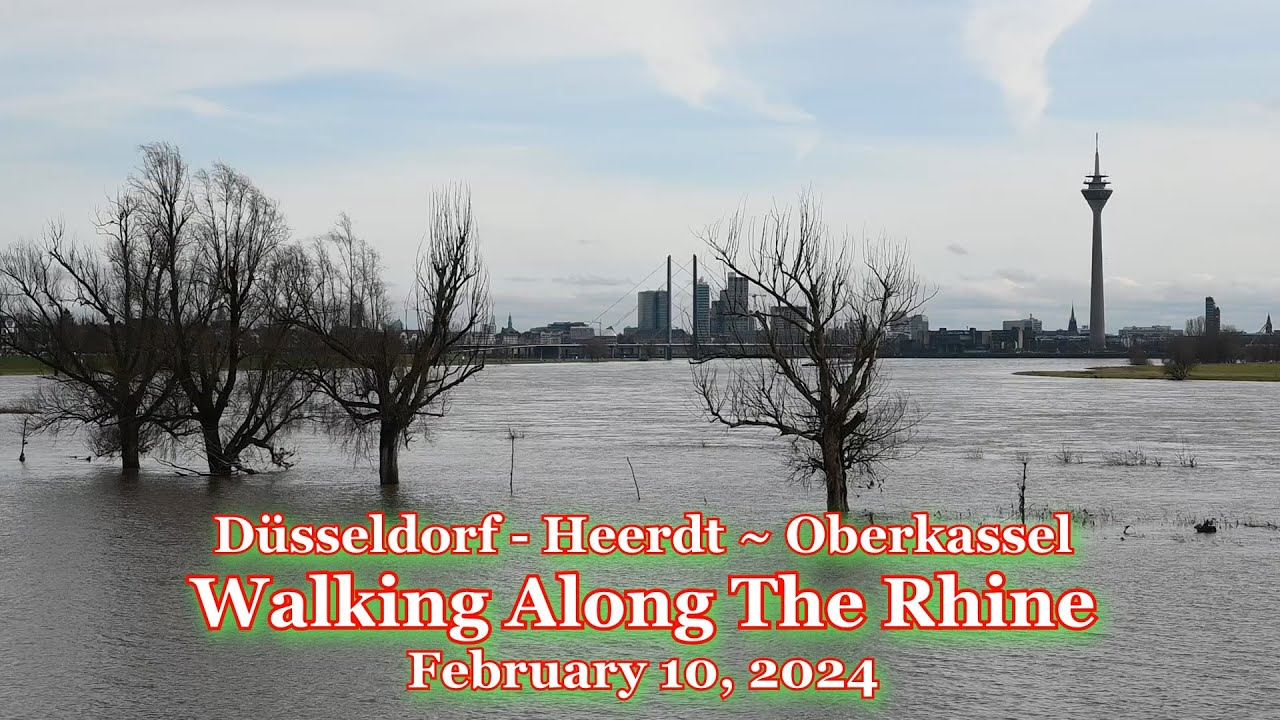 Düsseldorf - Heerdt ~ Oberkassel - Walking Along The Rhine February 10, 2024
