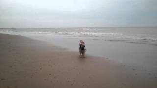 Op het strand in Zeeland bij Domburg.