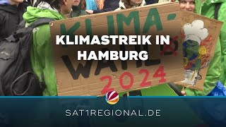 Fridays for Future-Demo in Hamburg