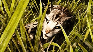 Elder Scrolls Lore: Ch.16 - Khajiit of Elsweyr