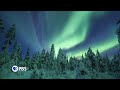 Nature: Santa's Wild Home - Preview