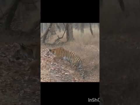 Anime Music Https Youtu Be Ja4GNdU2vYc Si HRw ThlQRTzcSK89